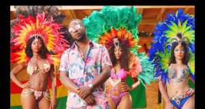 Maleek Berry Gimme Life Video