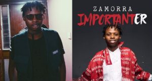 Zamorra Importanter