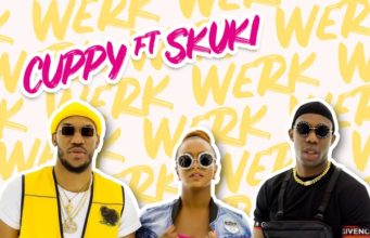 DJ Cuppy Werk Lyrics
