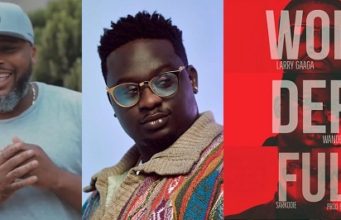 Larry Gaaga Wonderful ft Wande Coal