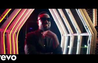 Larry Gaaga Wonderful video