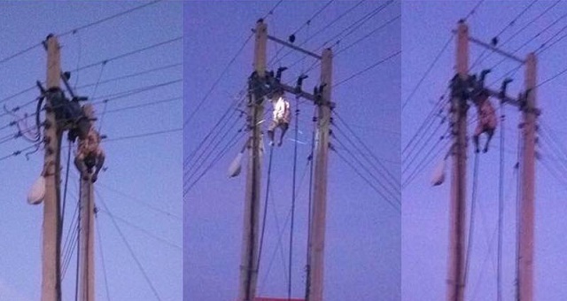 Thief electrocuted