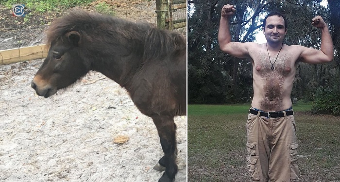 Man Arrested For Having Sex With Horse Many Times In Florida