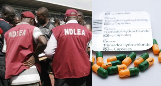 NDLEA intercepts 581 million Tramadol tablets