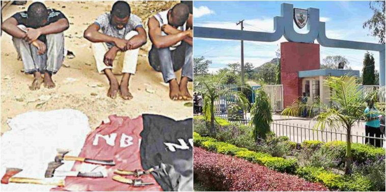 How I was lured into cultism – Unijos Graduate