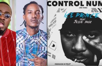 Ice Prince Control Number