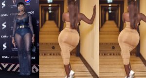 Actress Princess Shyngle causes