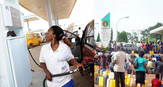 IPMAN reduce Petrol