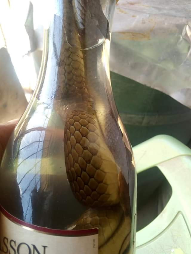 Bayelsa man testifies