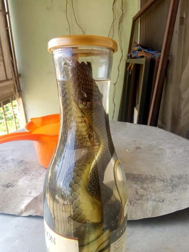 Bayelsa man testifies