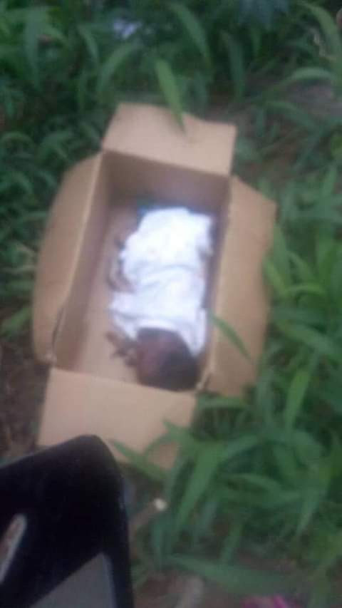 Dead newborn baby found