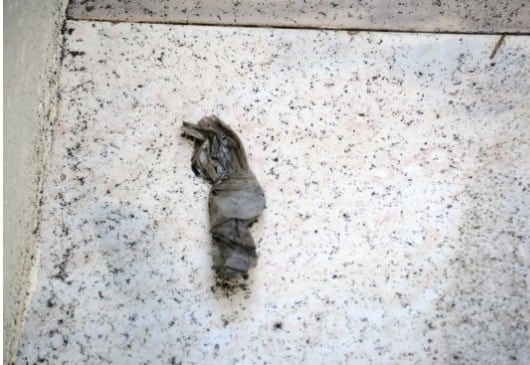 Evil woman buries charm