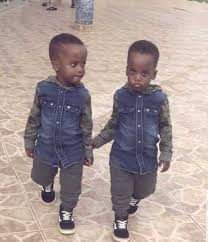 2-year-old twins drown
