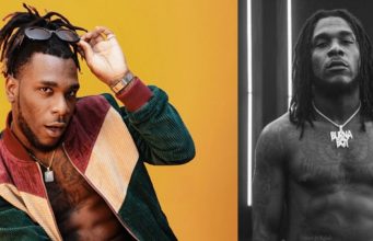 Burna Boy tells troll