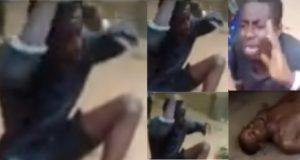 Student stabs brother