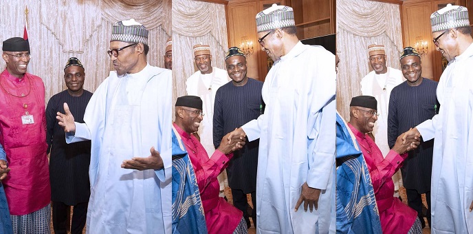 Senator Omo-agege ‘bends the knee’ To Greet Buhari In Aso Rock [VIDEO]