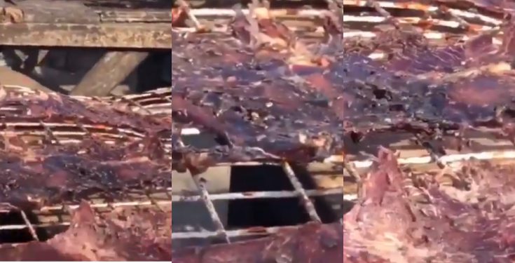 Nigerian Lady shocked after seeing how Kilishi is being made (video)