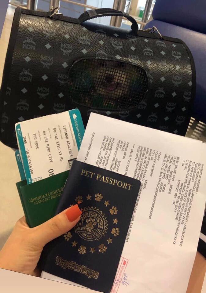 Lady flaunts pet's passport