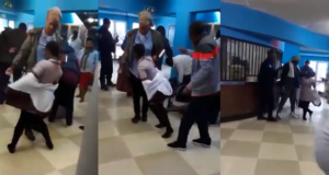 14 primary school children faint