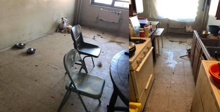 Lady reveals the condition she met the house of a man wooing her
