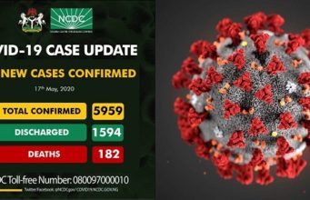 338 new cases