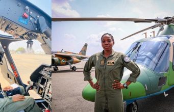 Air Force immortalises