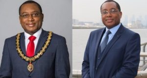 Nigerian professor appointed