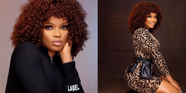 120196260_107816937685359_6519459815947484192_n