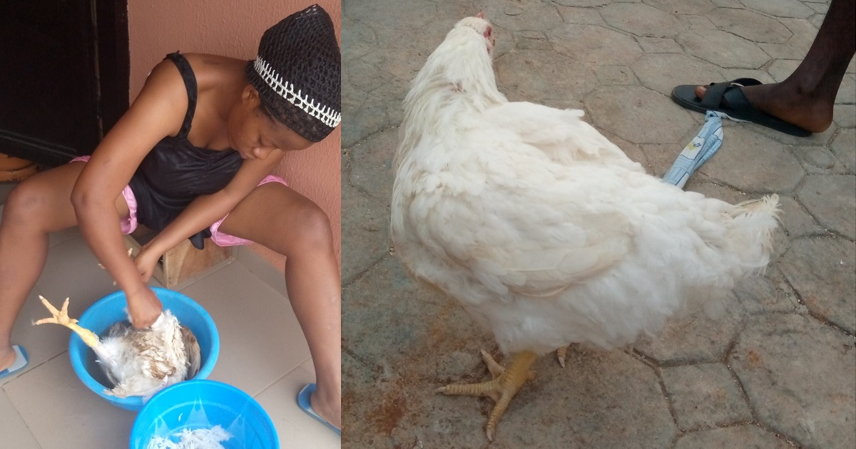 Nigerian woman praises her husband for buying Christmas chicken