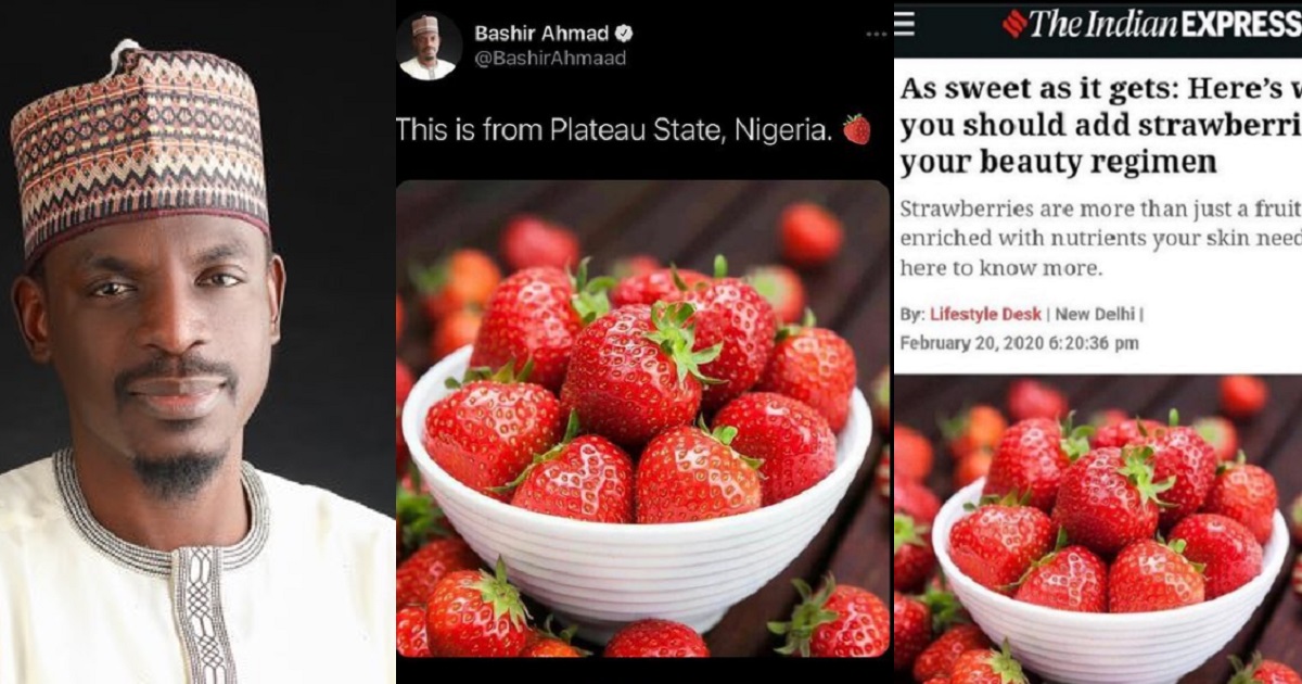 President aide, Bashir Ahmad reacts after being outed for “wrongly passing off” photo of strawberries as those from Plateau state