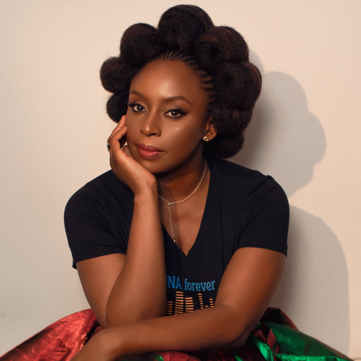Chimamanda Adichie stopped