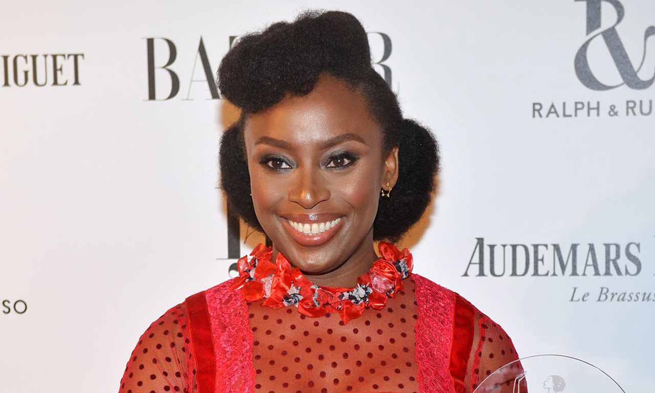 Chimamanda Adichie stopped