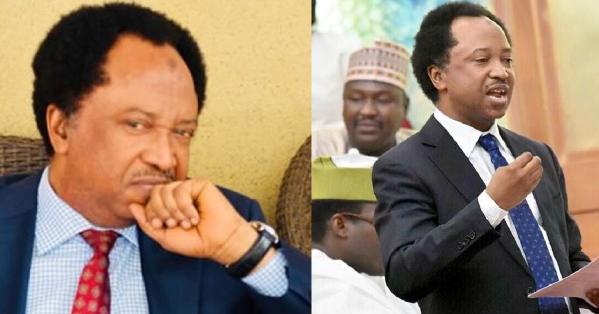 “It appears ladies have more uncles than guys” – Shehu Sani