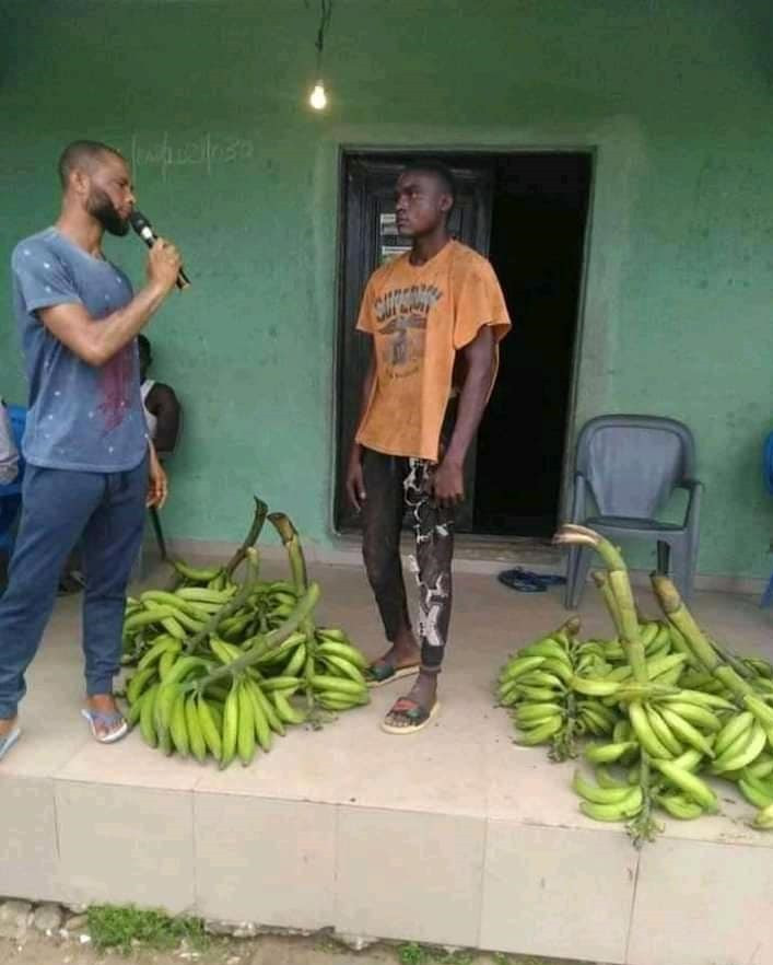 Plantain thief caught 