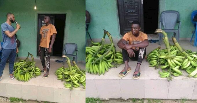 Plantain thief caught
