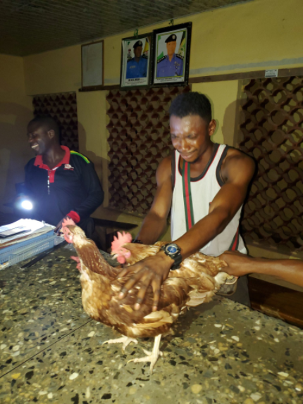 Poultry worker who steals 