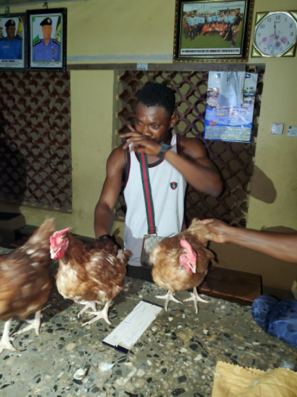 Poultry worker who steals 