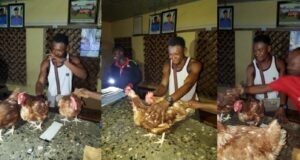 Poultry worker who steals