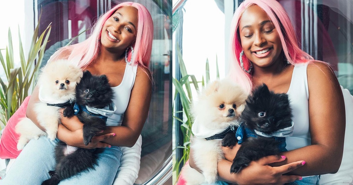 “If my dogs doesn’t like you, we can’t date” – DJ Cuppy to prospective suitors