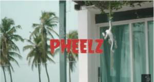 Pheelz Somebody Video