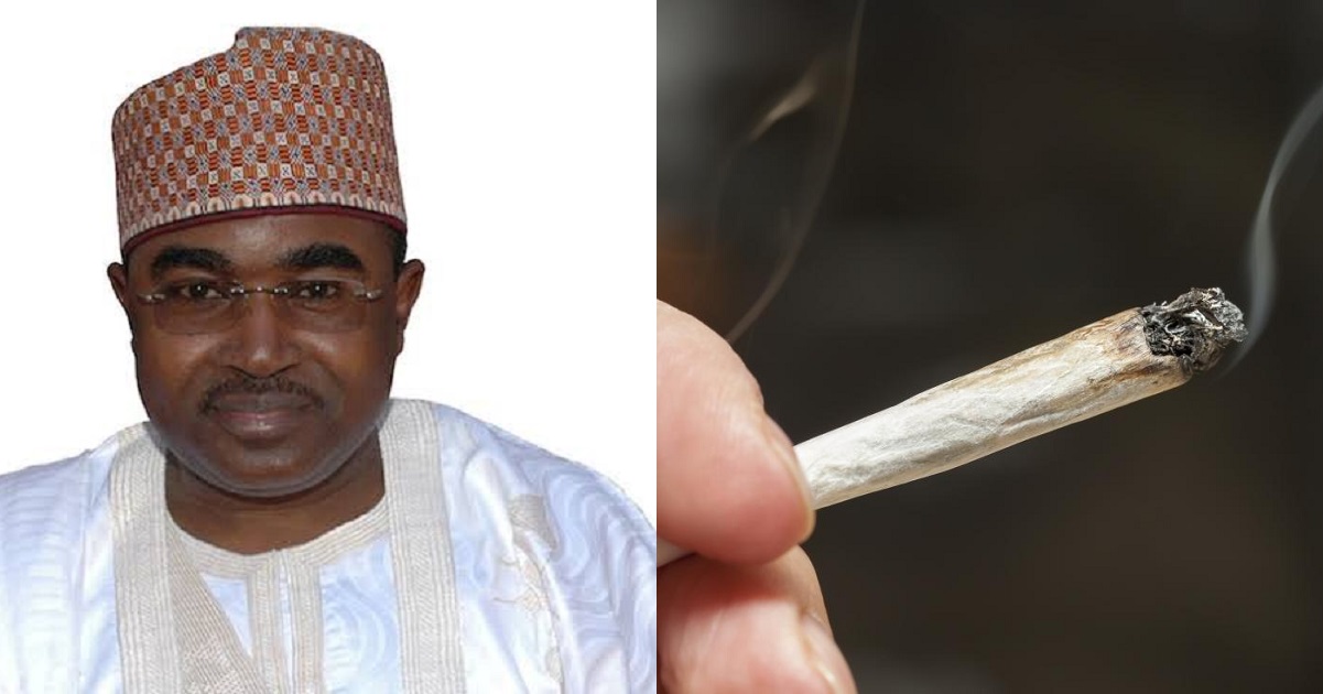 ”It’ll turn Nigeria to a nation of junkies”- NDLEA boss Buba Marwa warns against legalizing Cannabis