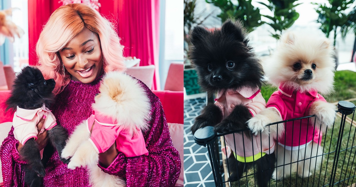 People are sending my dogs their account numbers — DJ Cuppy cries out