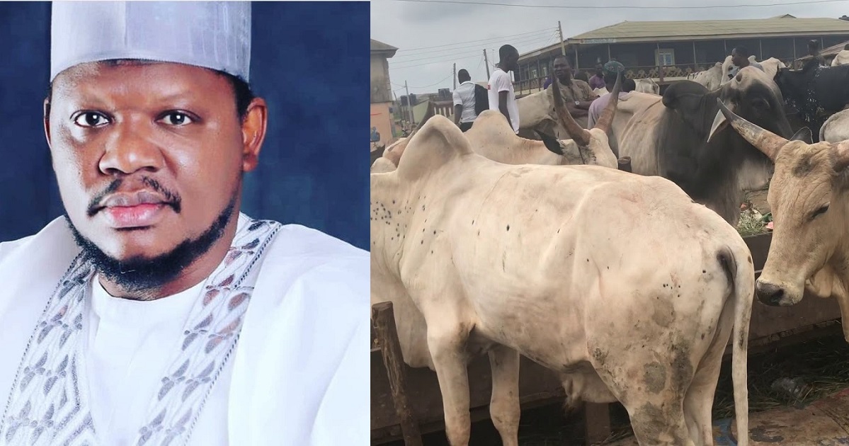 Cattle have more economic value than the entire oil and gas reserve we have in Nigeria – Former Presidential aspirant, Adamu Garba