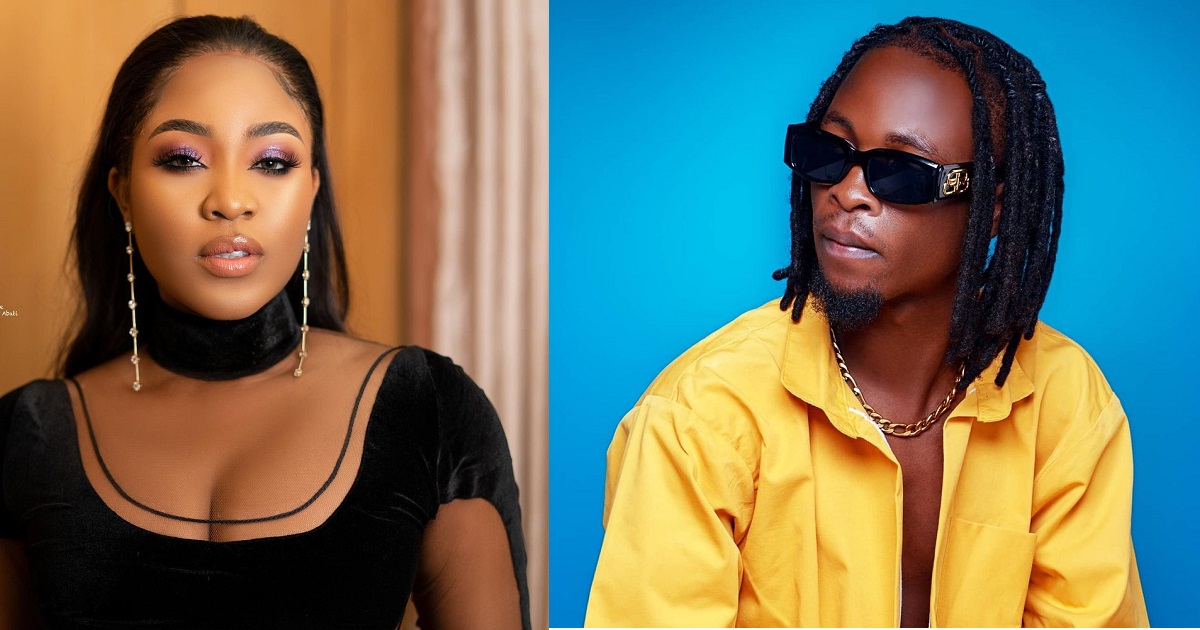 #BBNaijaReunion : He’s just like a Snake, He’s just going to make people pity him as usual.” – Erica chides Laycon