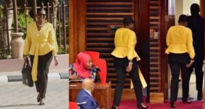 Tanzania female MP thrown