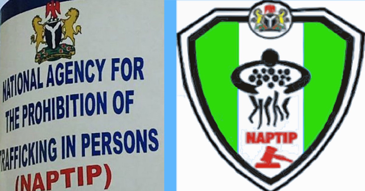 “Spreading videos of minors who have been sexually abused attracts 5-year jail sentence and N1m fine” – NAPTIP