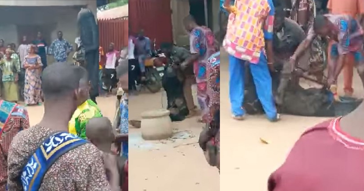 Masquerade failed by his “spiritual powers” as bullets penetrate his body during festival in Oyo community (video)
