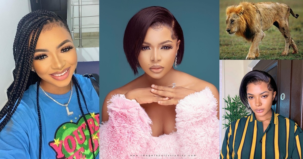 #BBNaija: “Which one is ‘Lion’?” – Fans clash over the official fanbase name for Liquorose