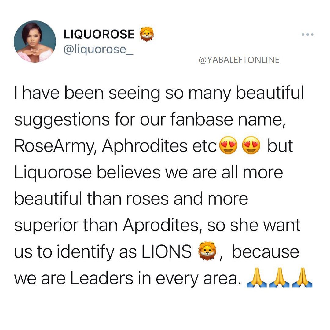 Liquorose lion