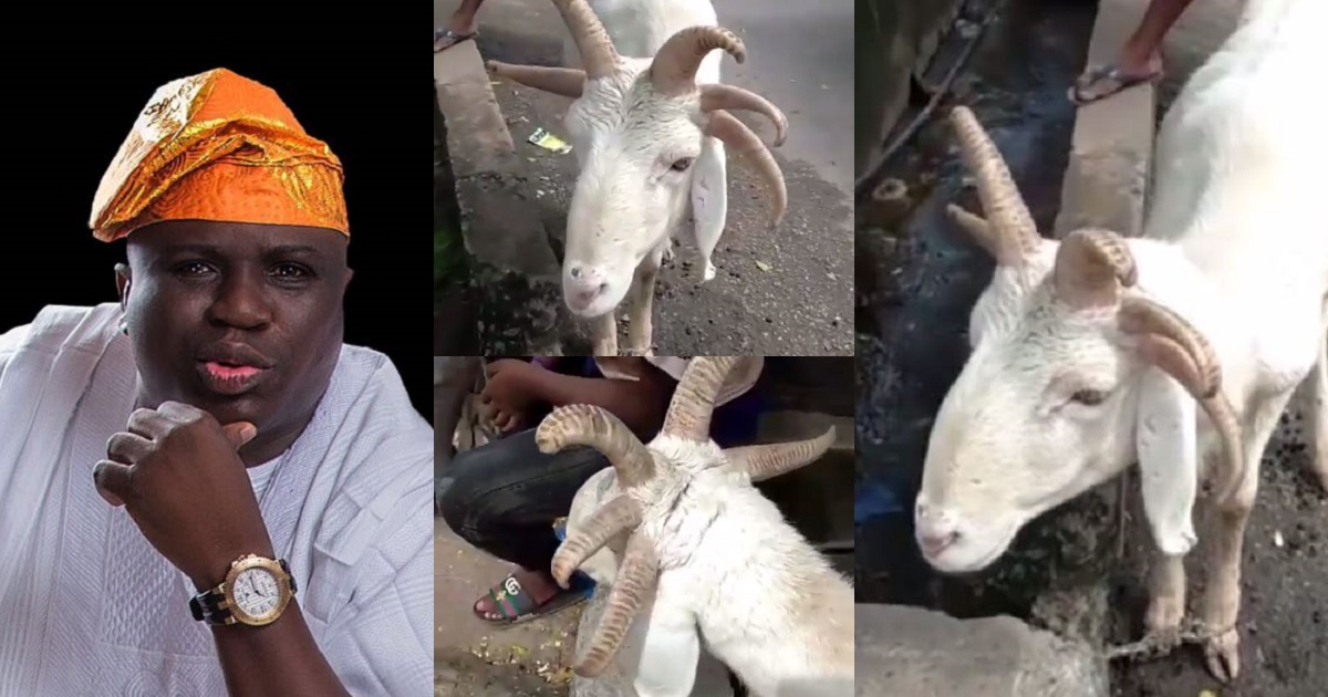 Gbenga Adeyinka in